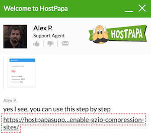 HostPapa Live Chat 2